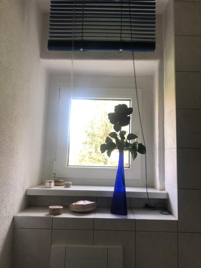 Wohlfuehloase Dresden Nickern公寓 外观 照片