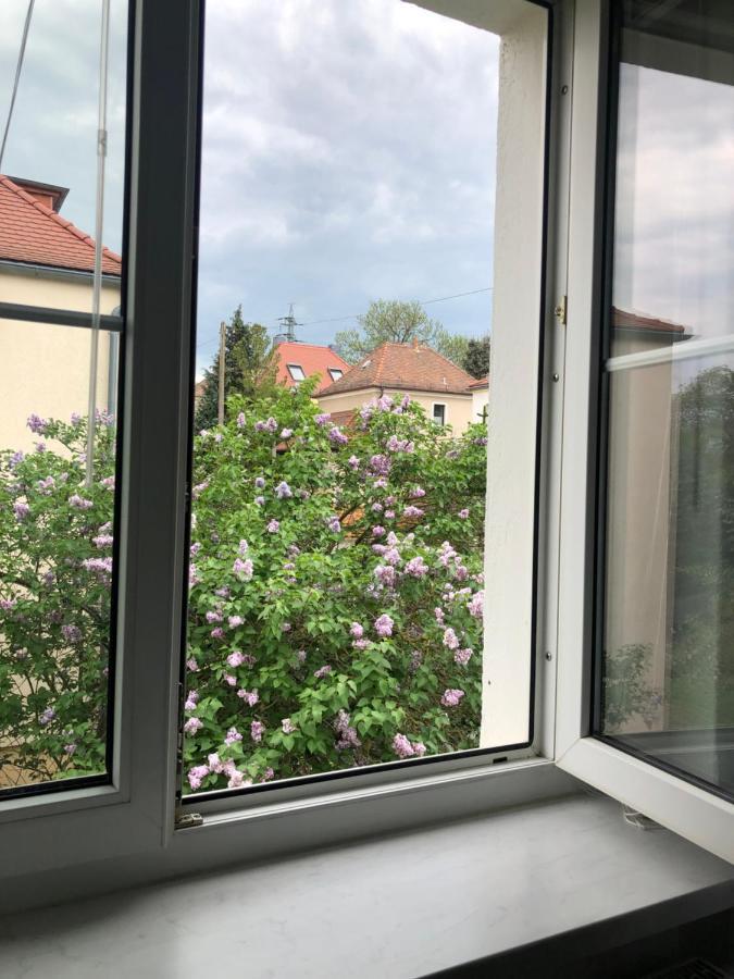 Wohlfuehloase Dresden Nickern公寓 外观 照片