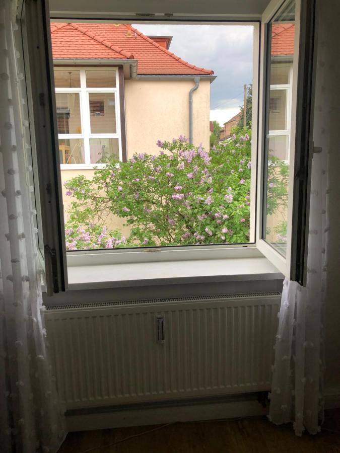 Wohlfuehloase Dresden Nickern公寓 外观 照片